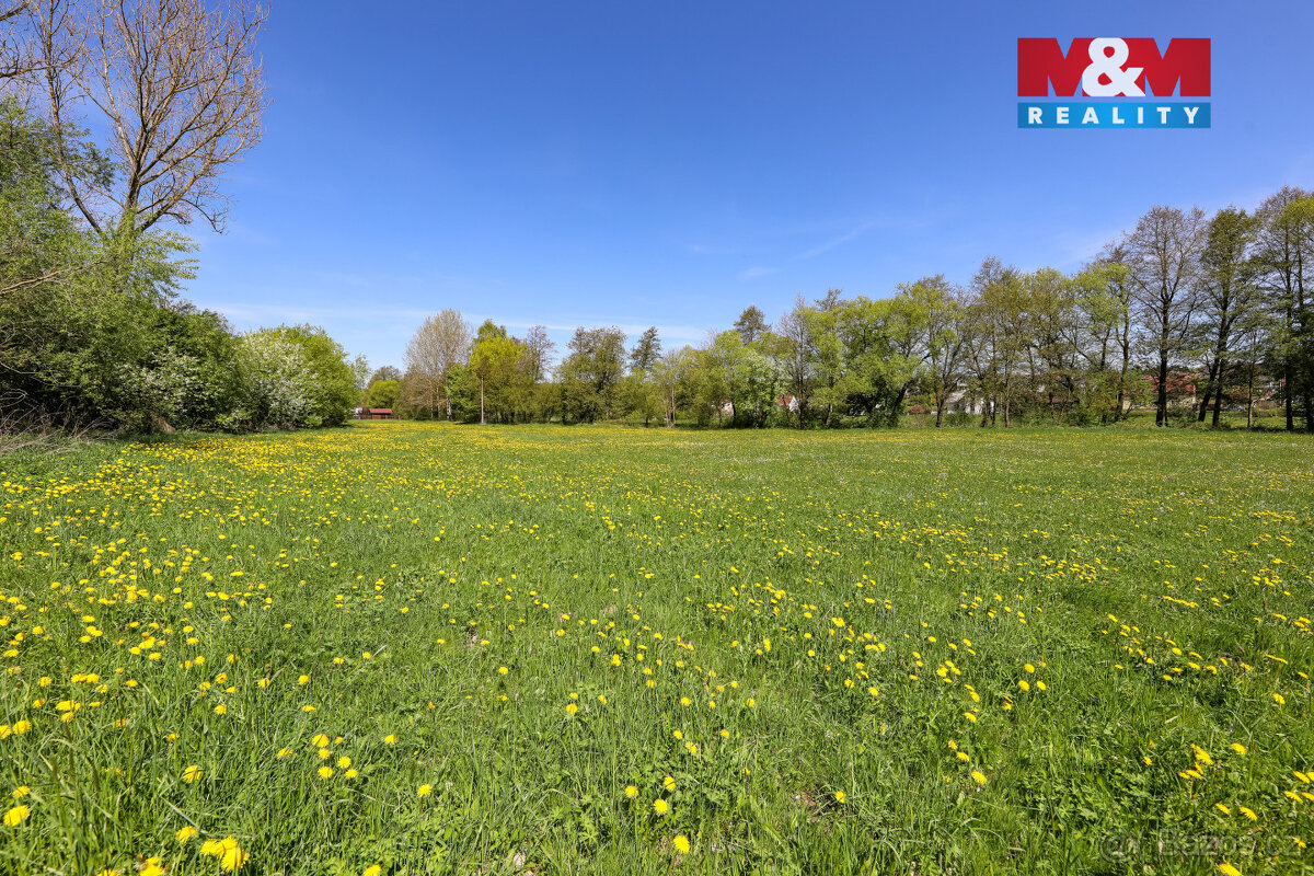 Prodej pozemku, 4590 m², Horní Bříza - 6