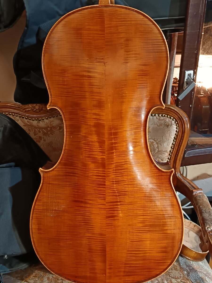 Violoncello - 6