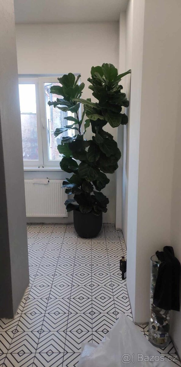 KOMPLETNÍ REKONSTRUKCE A-Z - 6