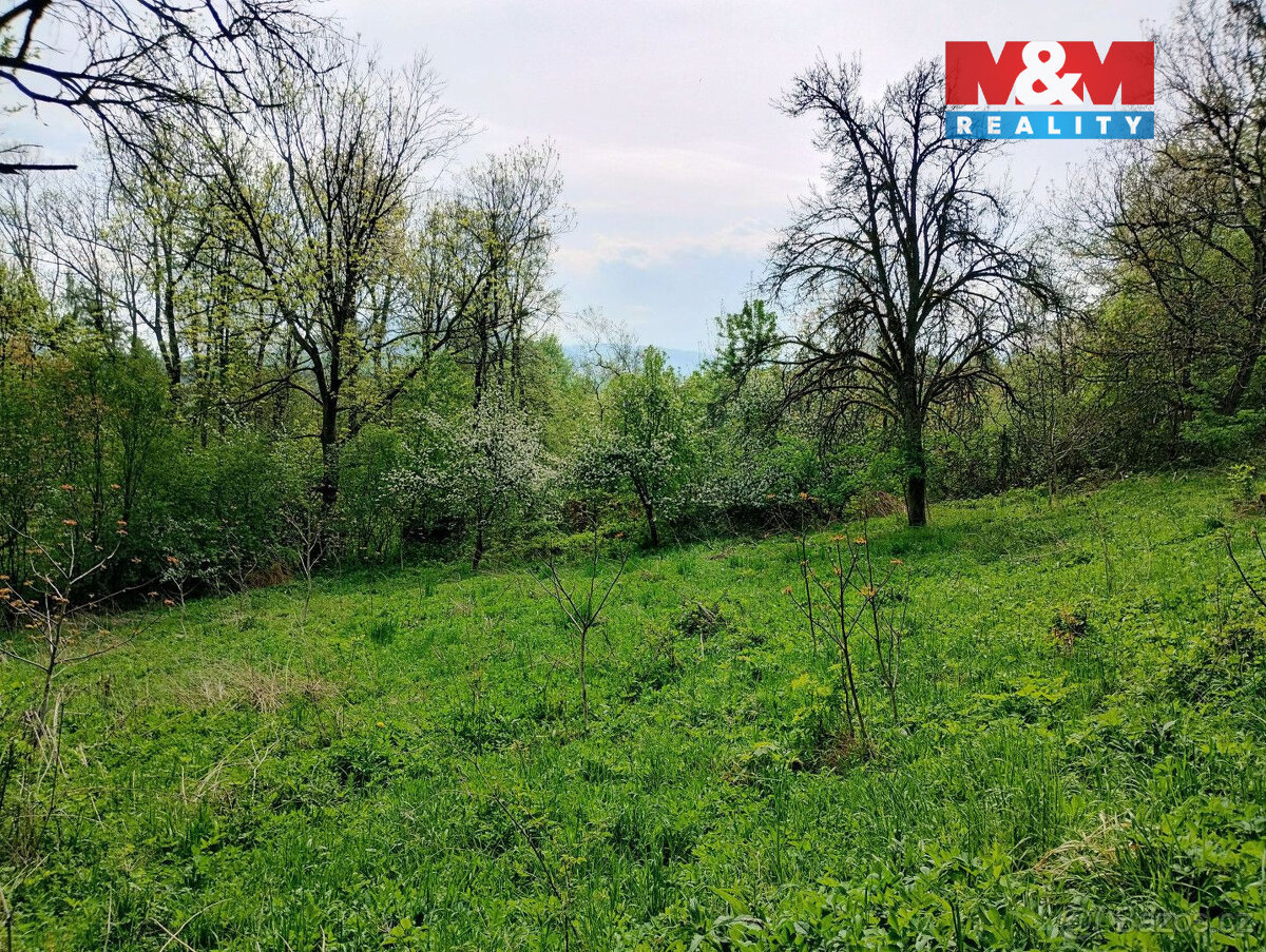 Prodej pozemek 2730 m2, Jeseník nad Odrou, Hůrka - 6