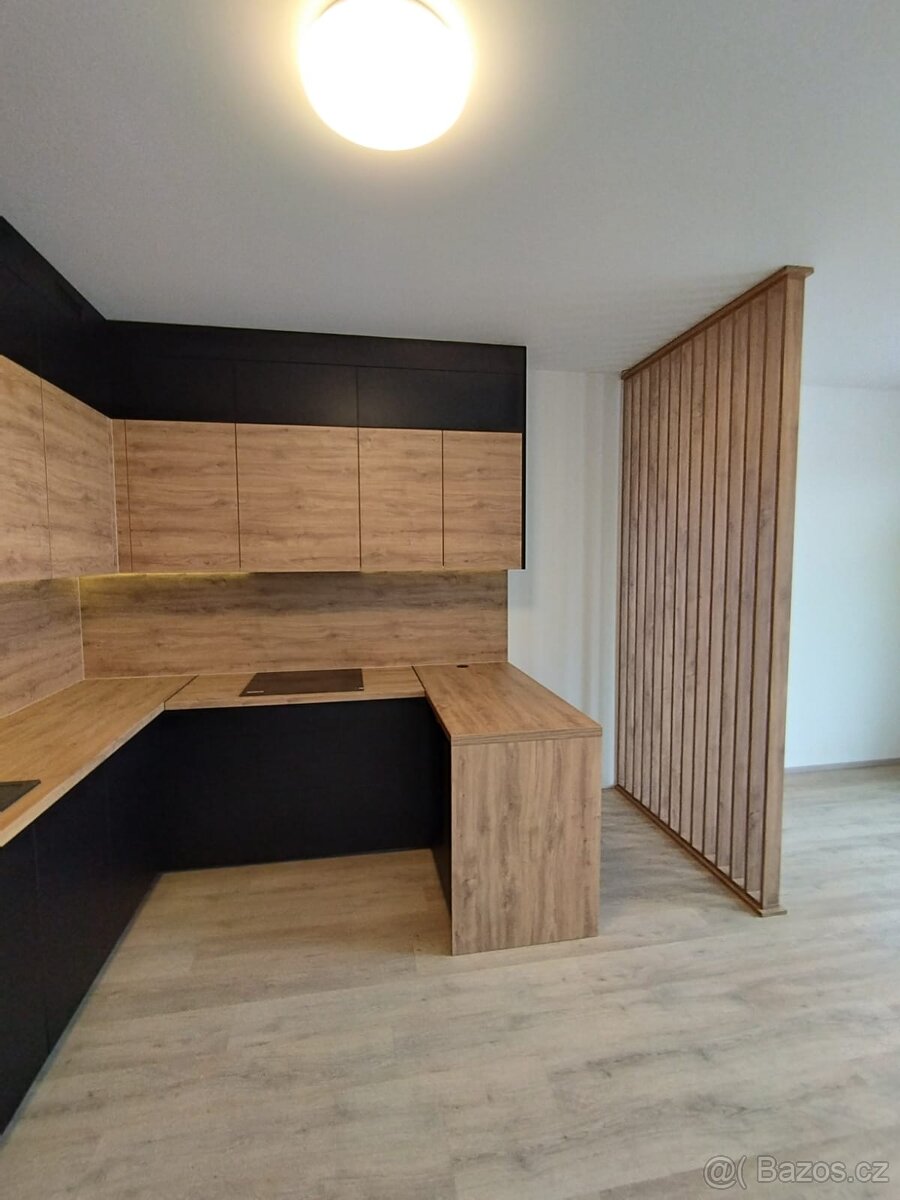 Novostavba Žižkov Parkova Čtvrt 43,60m2 - 6