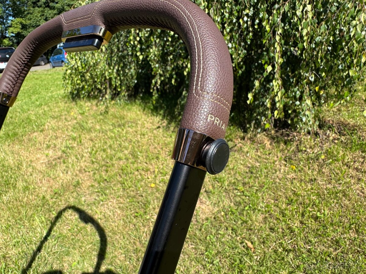 Cybex Priam 2023 rosegold - 6