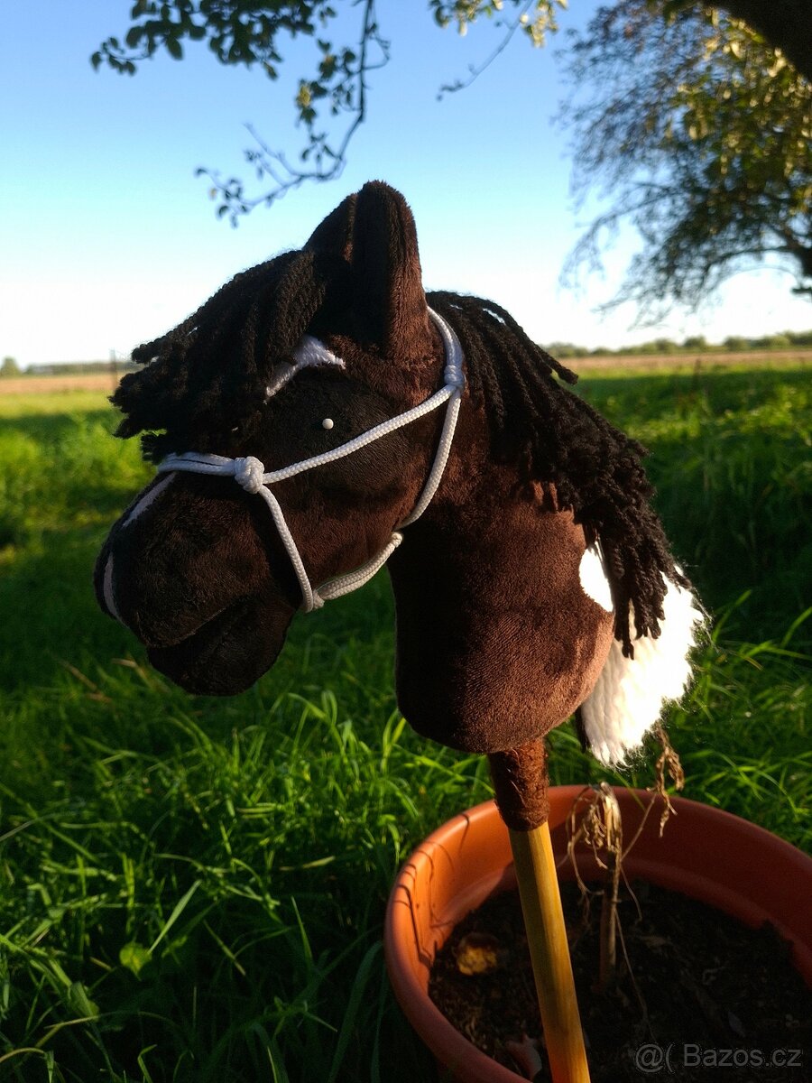 Hobby horse - 6