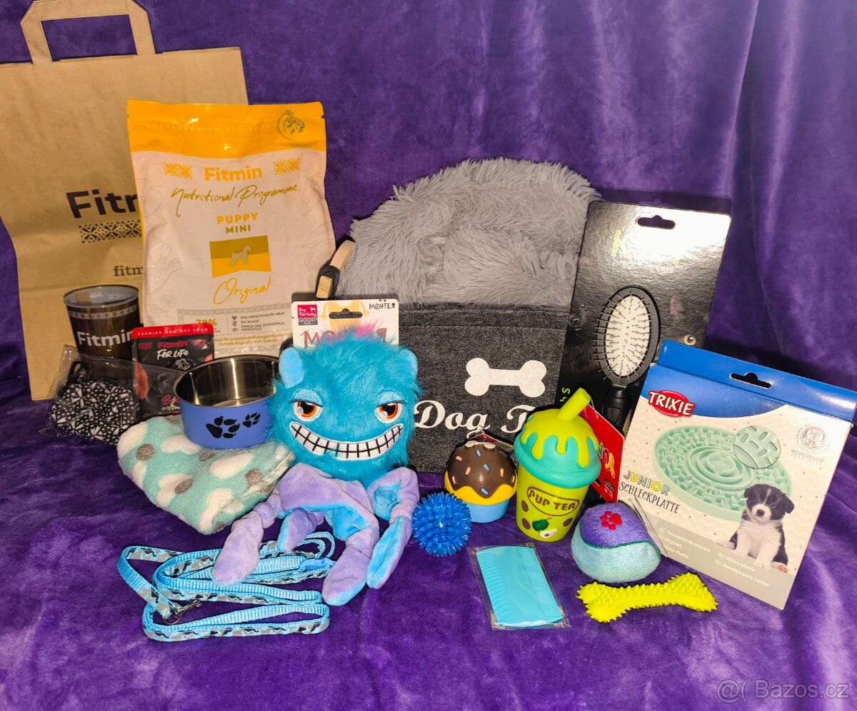 Biewer Yorkshire teriér - 6