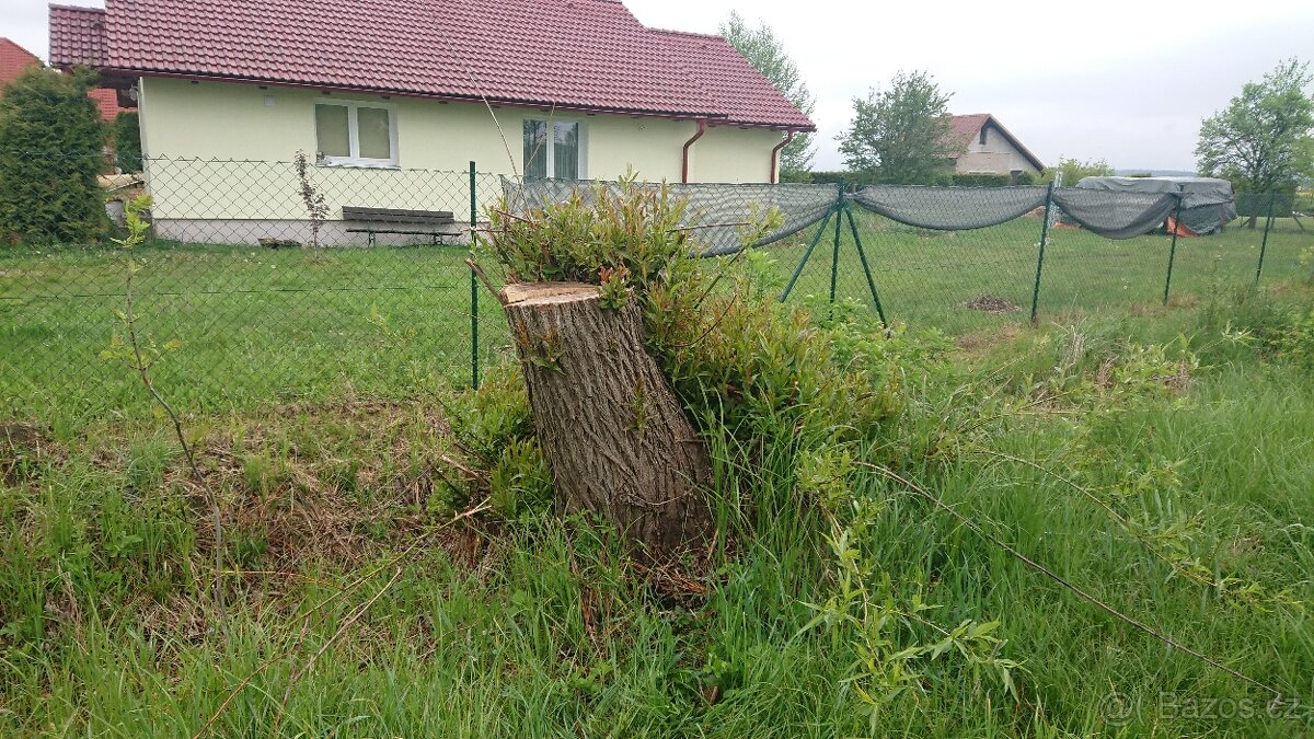 FRÉZOVÁNÍ - ODSTRAŇOVÁNÍ PAŘEZŮ - 6