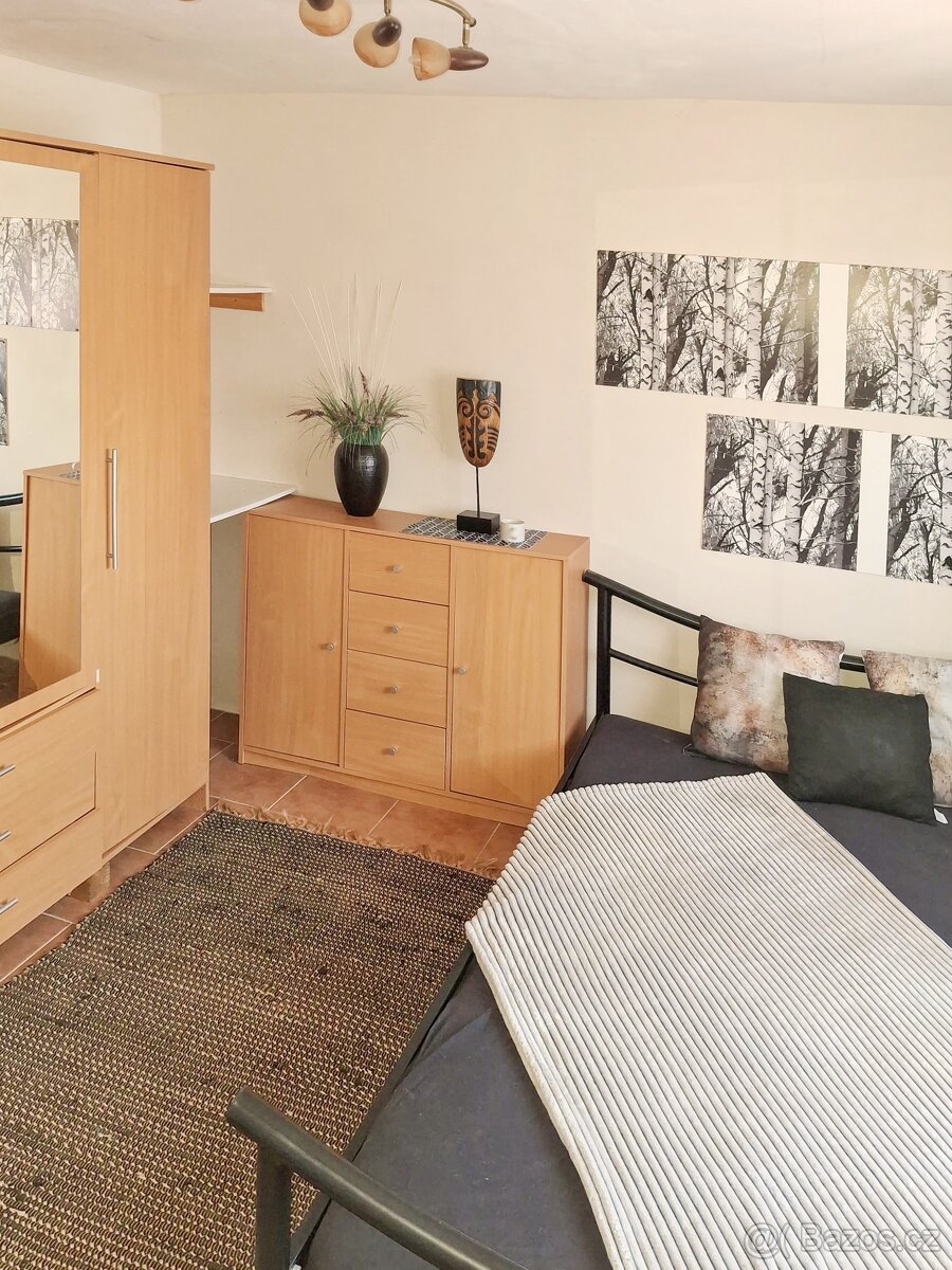 Útulný a zařízený byt 2+1, Dubá - 6