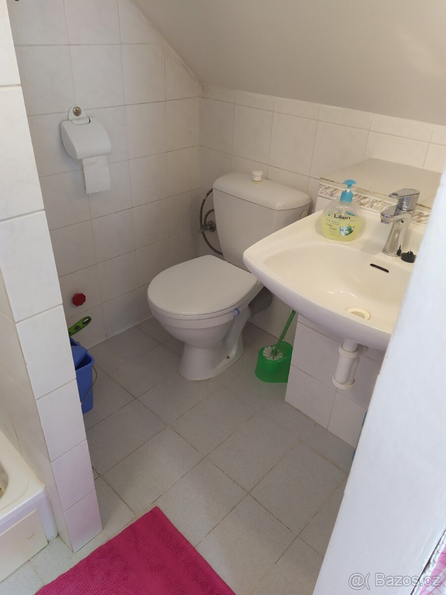 Pronájem bytu 1+1 atypický - 6