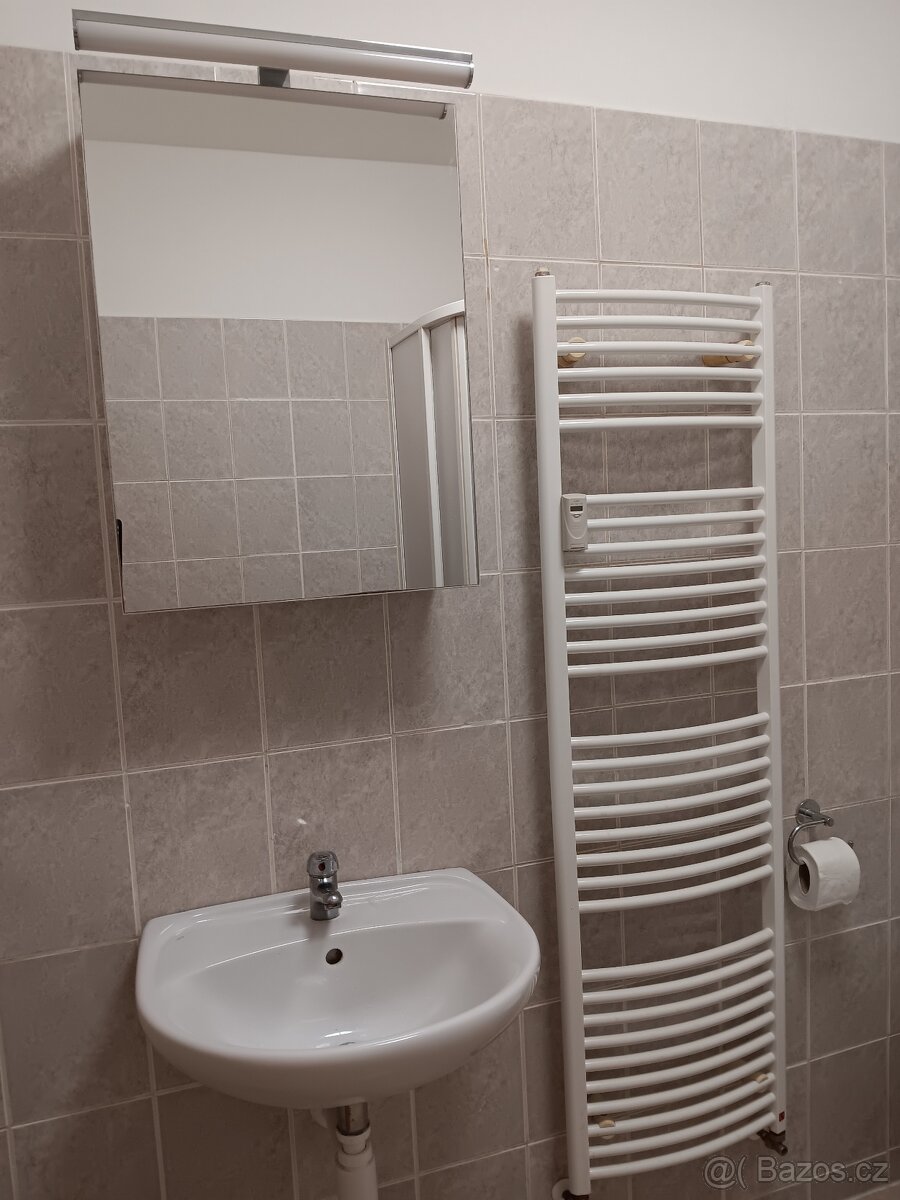 pronájem bytu 1+kk - 6