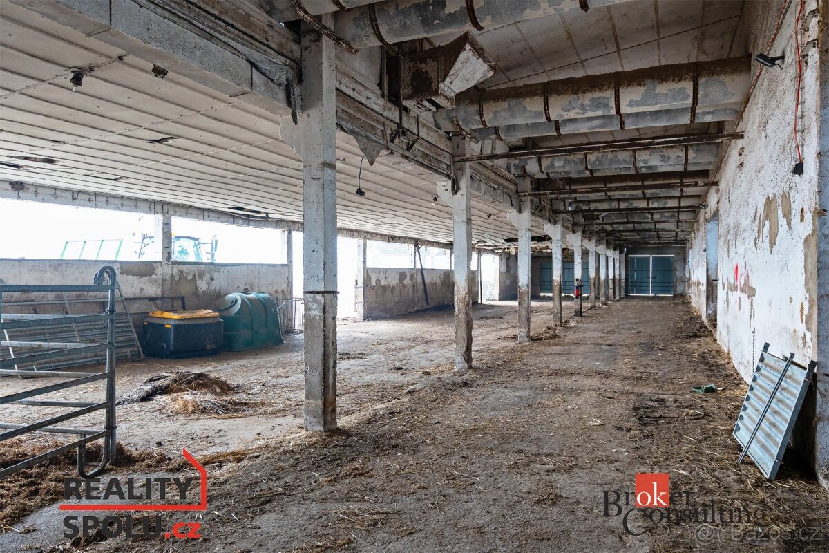 Prodej, komerční/zemědělský, 13703 m2, Kočov, Tachov [ID 631 - 6