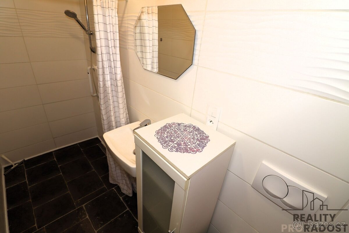 Prostorný byt 1+1 ( 30m² ) po rekonstrukci k pronájmu, Brno- - 6