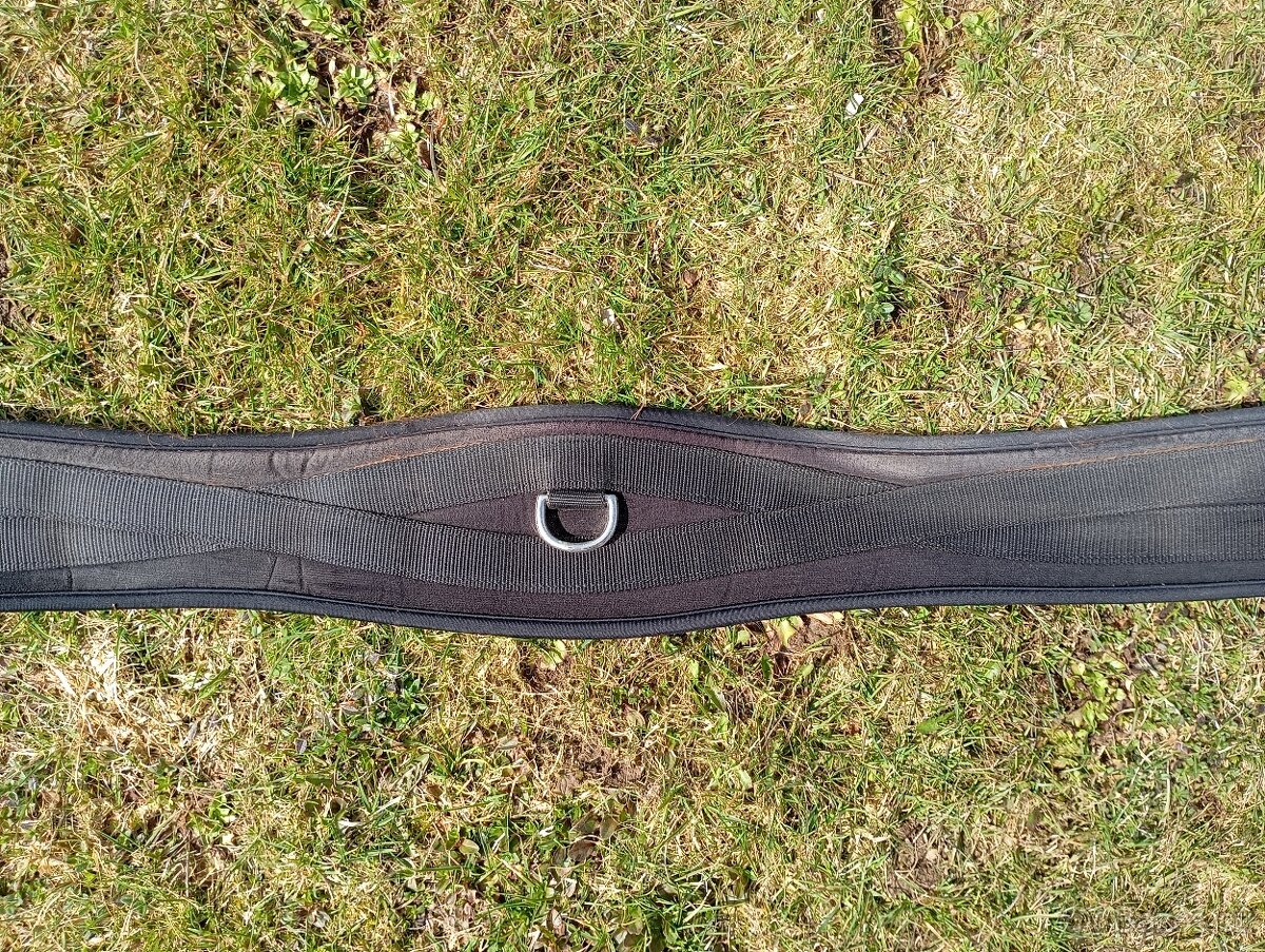 Podbřišník Kentaur - 6