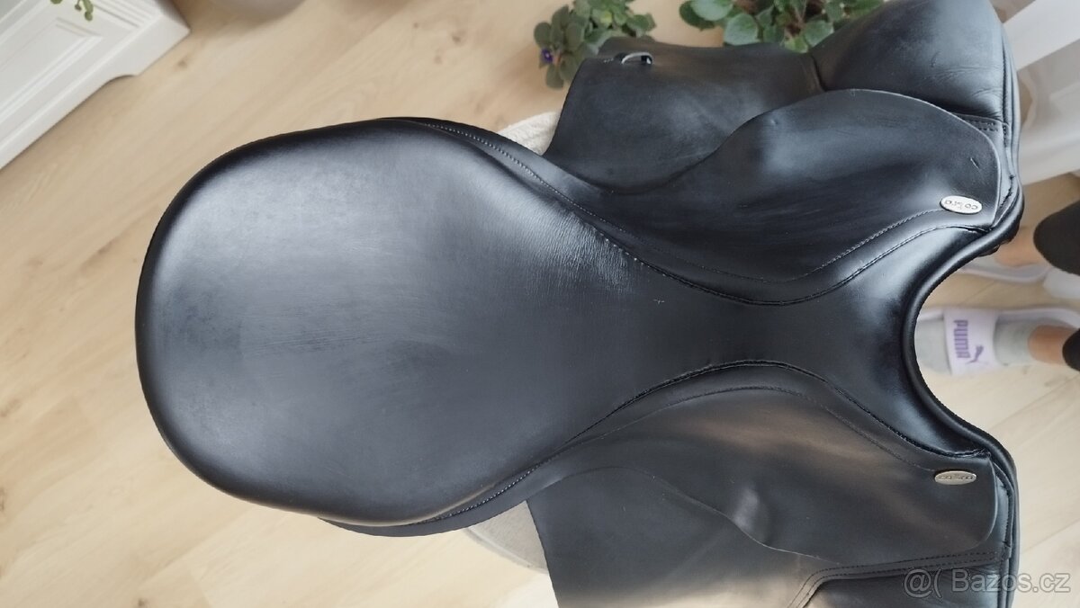 Cobra (Amerigo, Equipe) - 6