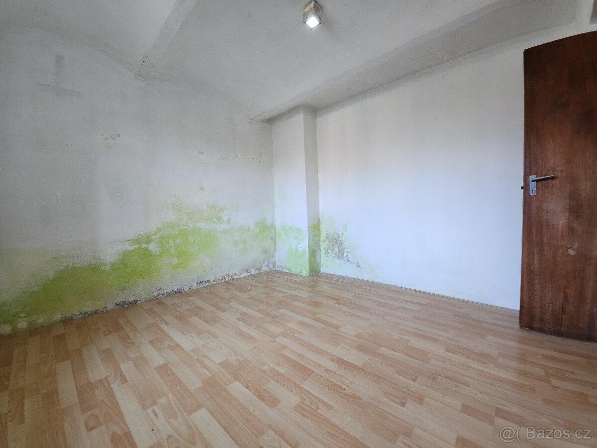 Prodej RD 110 m2, pozemek 2078 m2, Starý Ples - 6