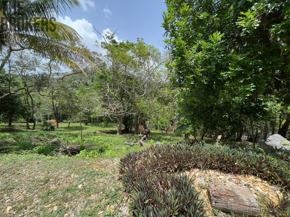LOT 9 Bodden Bight Estate, Roatan - 6