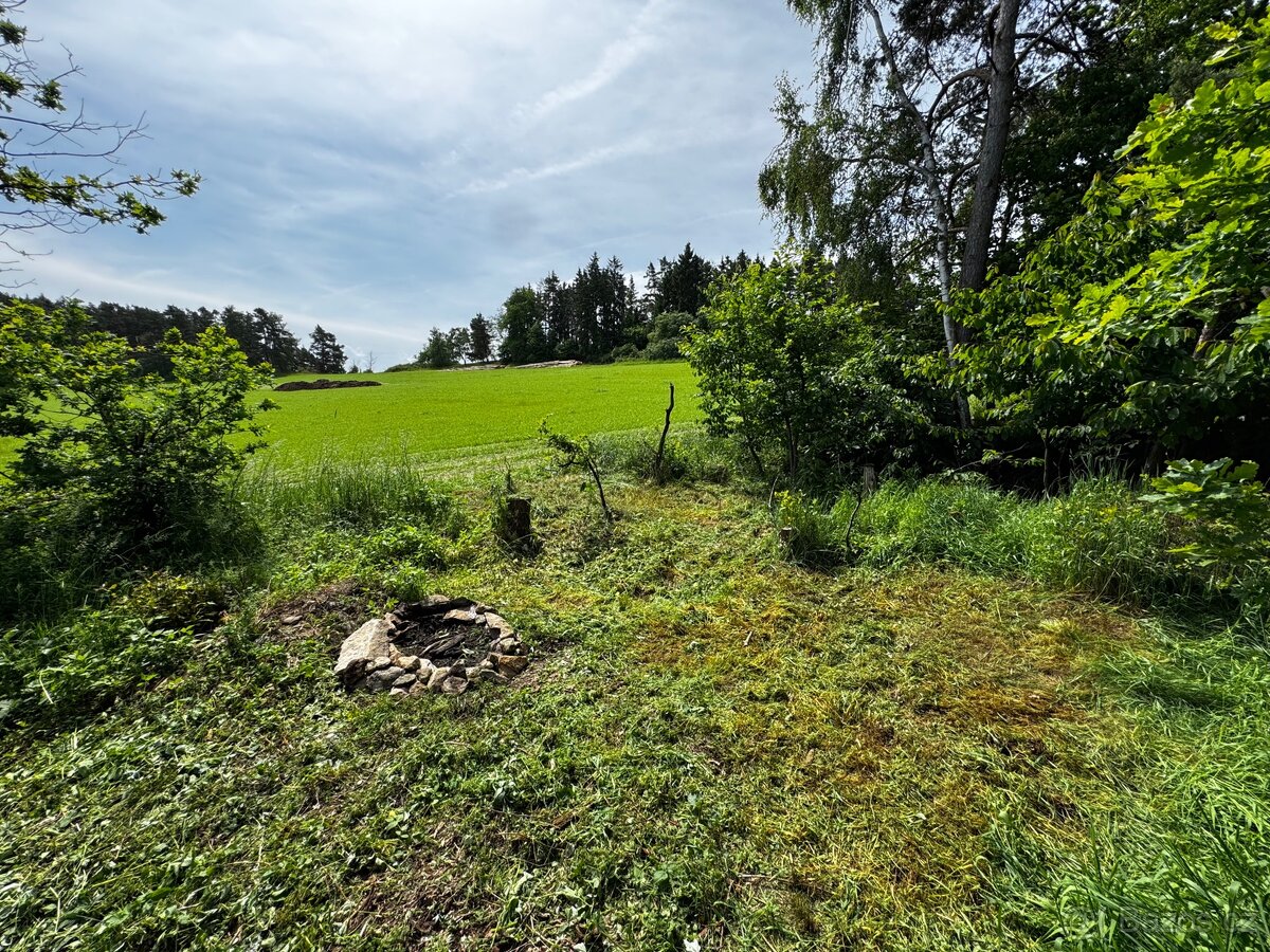 Prodej lesa 880m2 Radkovice - 6