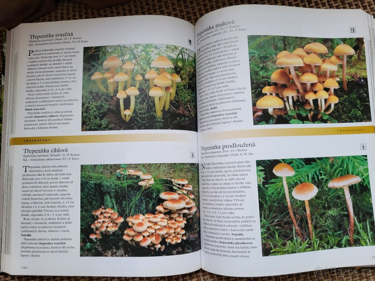 Houby - sběratelská encyklopedie a další od Reader Digest - 6