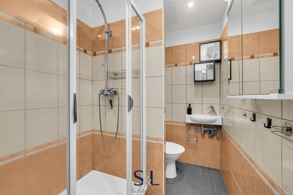 Nabízím Vám bytovou jednotku o dispozici 1+1 v Novém Boru, u - 6