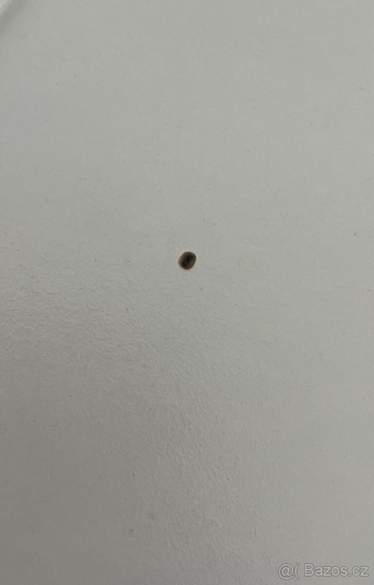 Pracovní polohovatelný stůl - 6