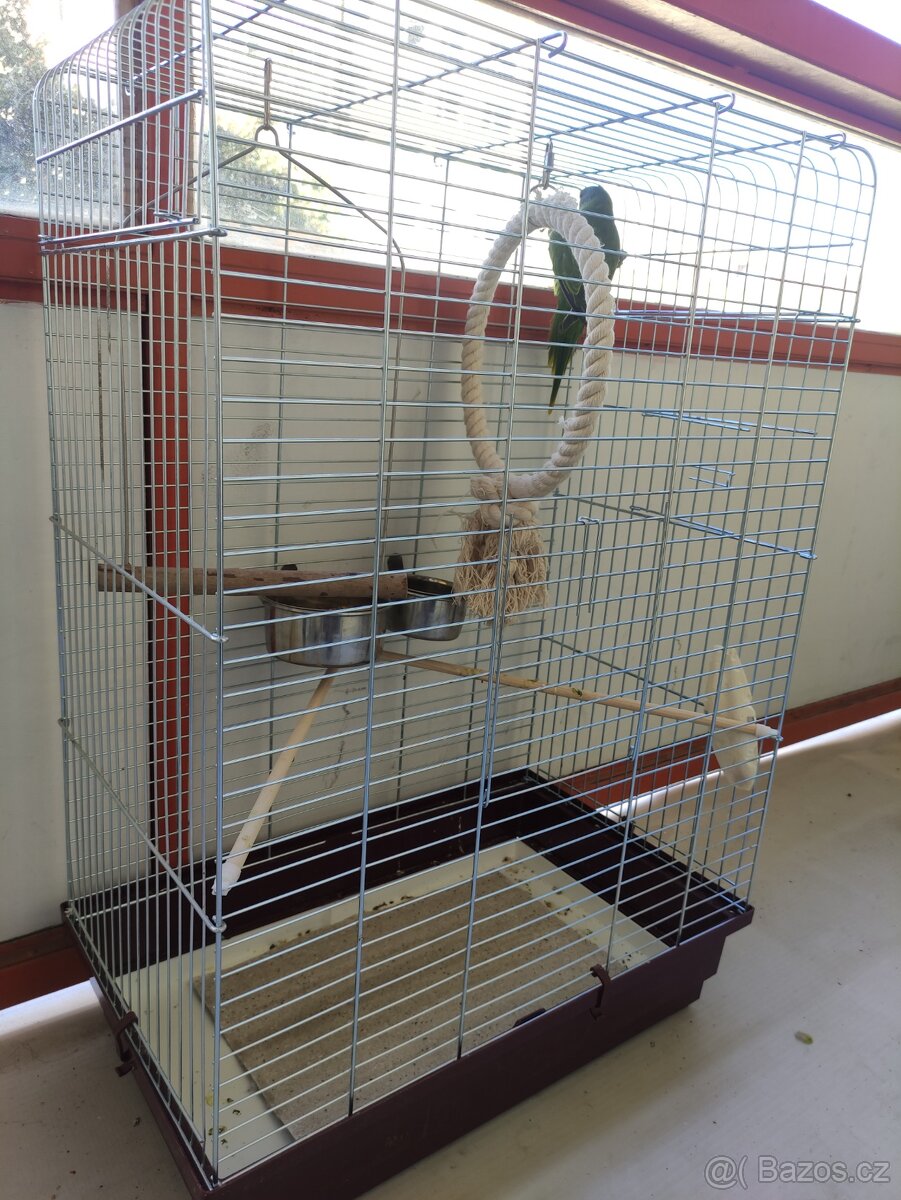 Alexander ciernohlavy - 6