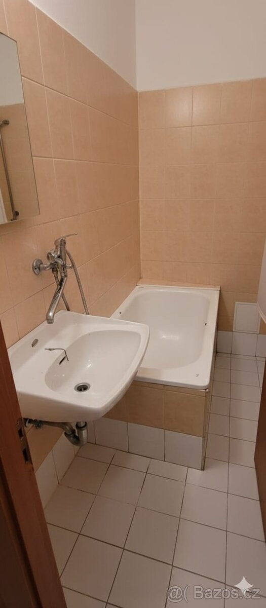 Pronájem bytu 2+1 v obci Černovice - 6