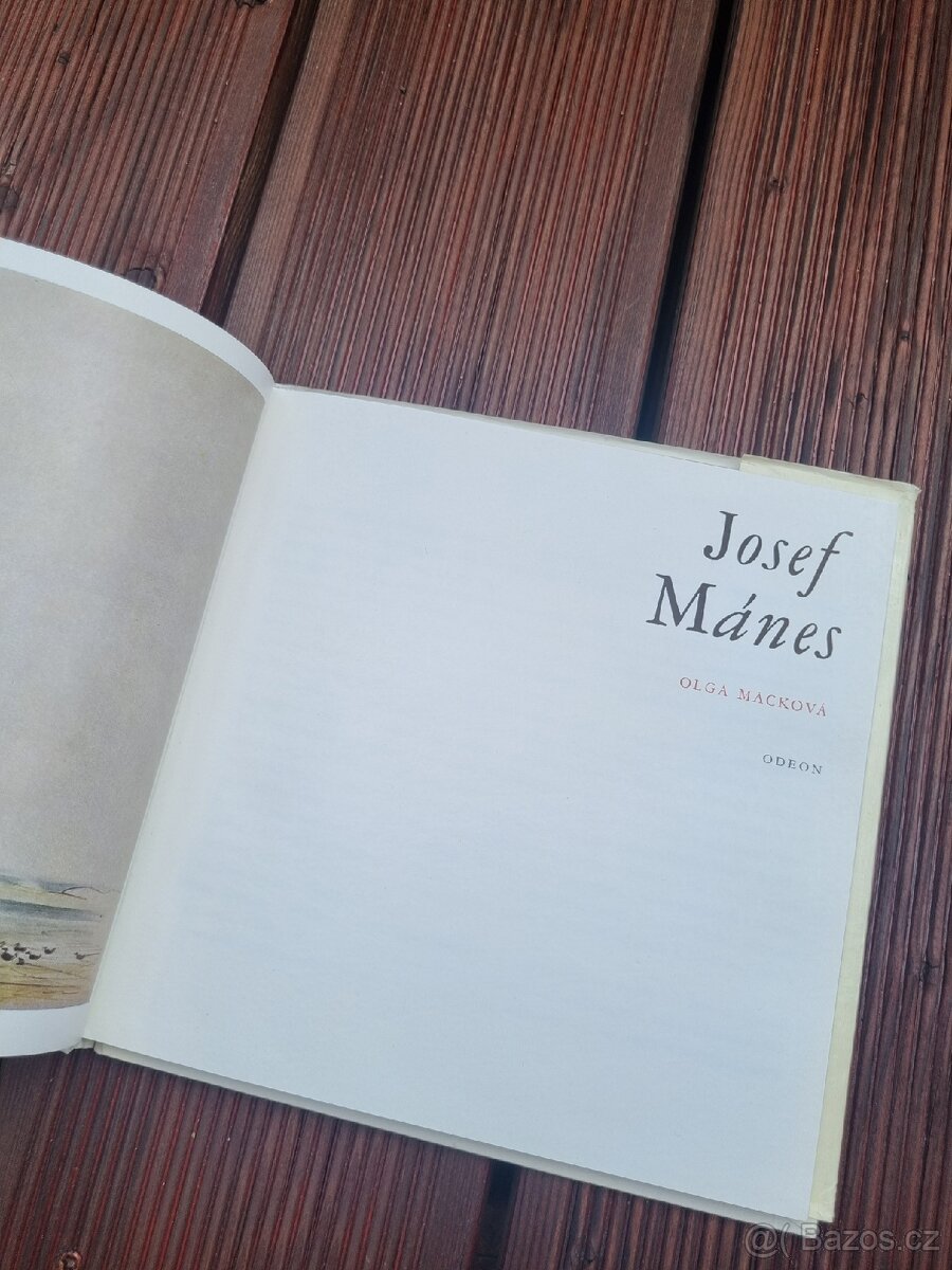 Josef Mánes - 6