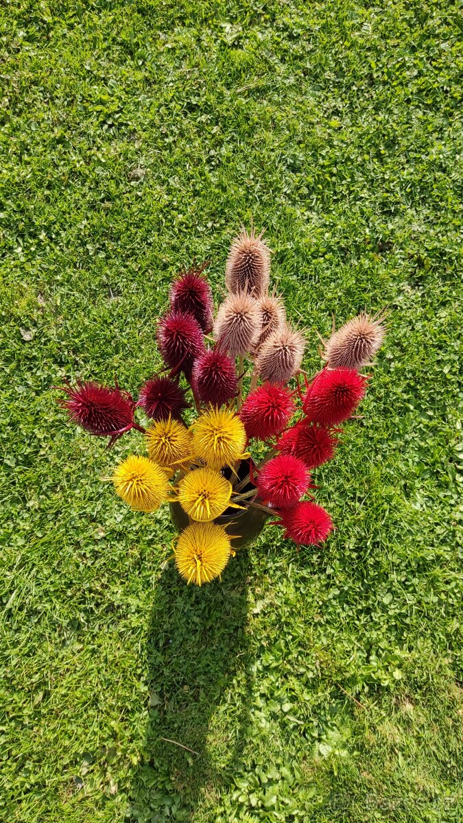 Barvená sušina - 6