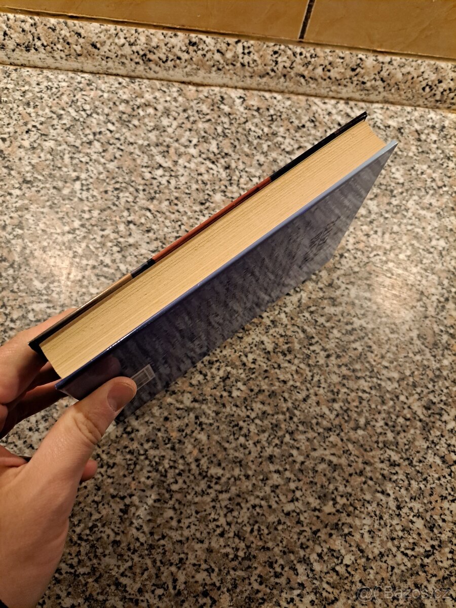 Železná panna - Richard Medek - 6