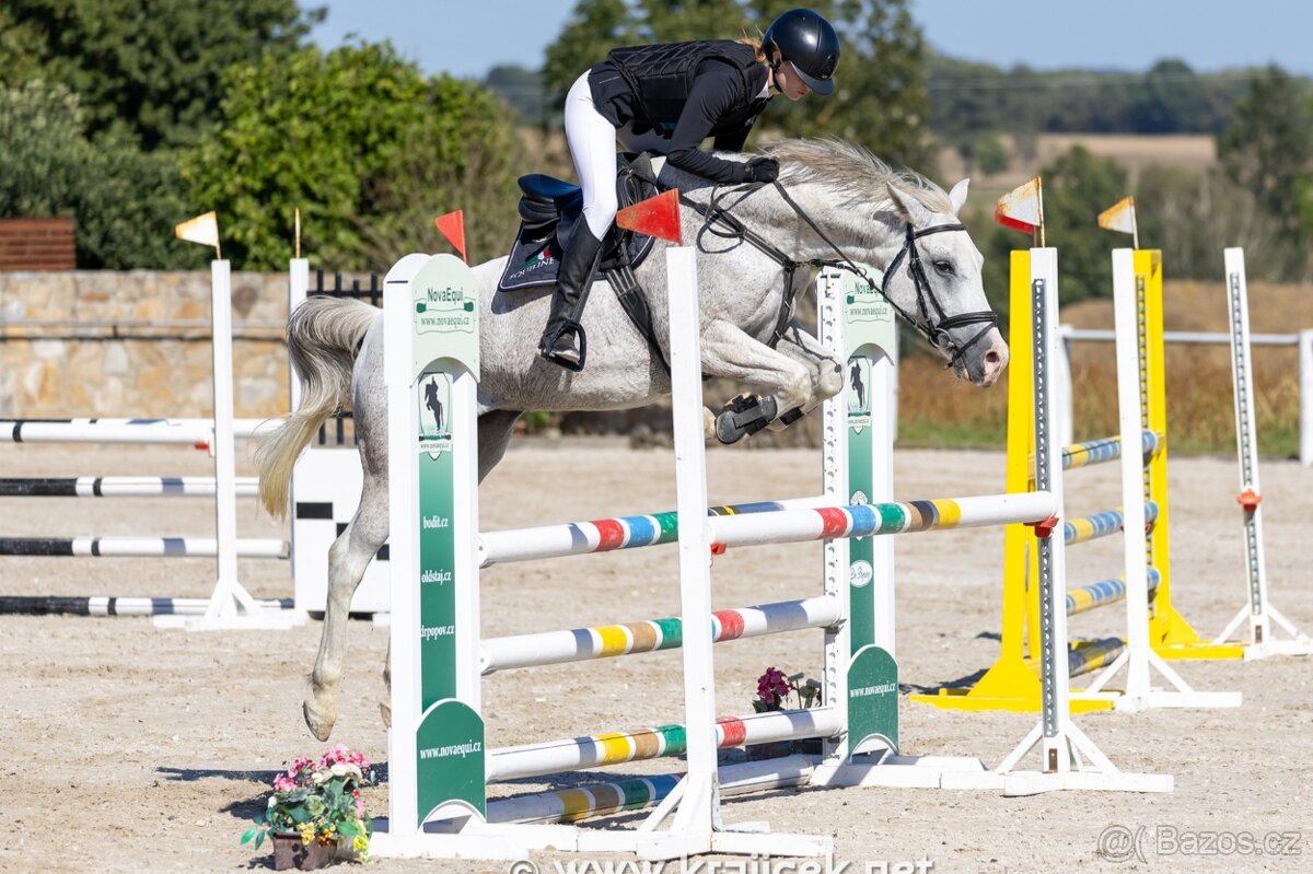 PONY TYP B NA PRODEJ - 6