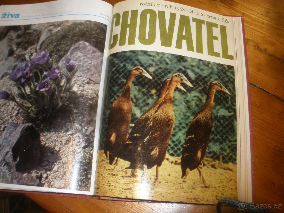 Myslivost ,svázaný ročník 1968 - 6