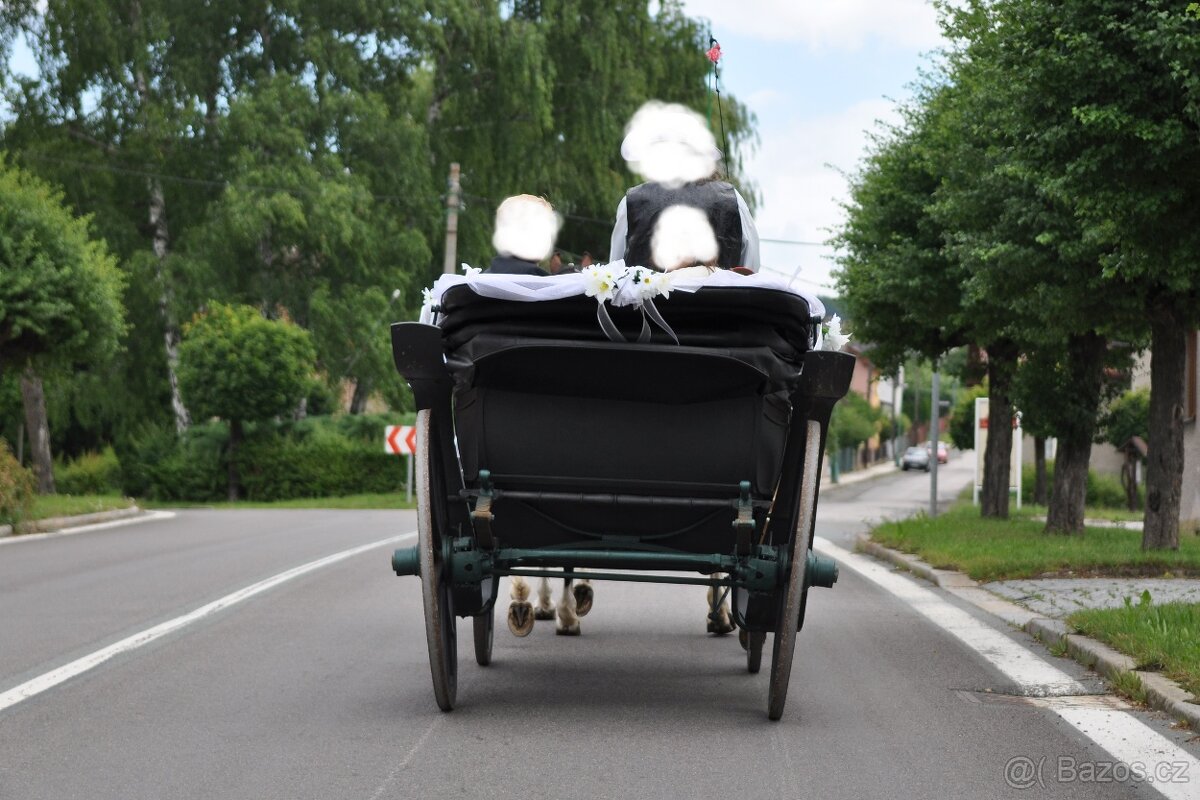 KOČÁR ZA KONĚ - 6