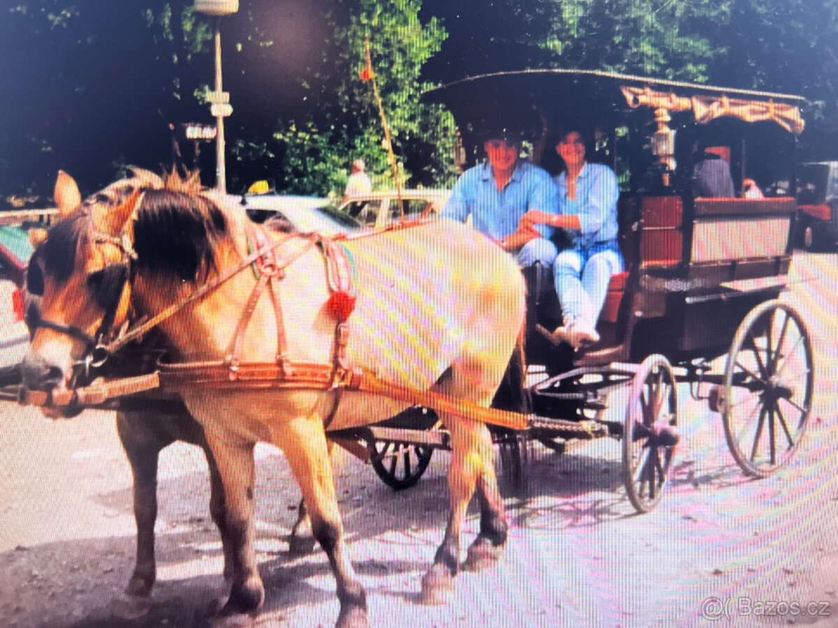 Kočár za koně - Dostavník - 6