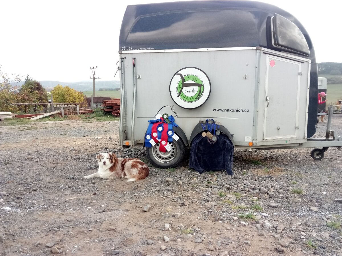 Přepravník na koně Boeckmann - 6