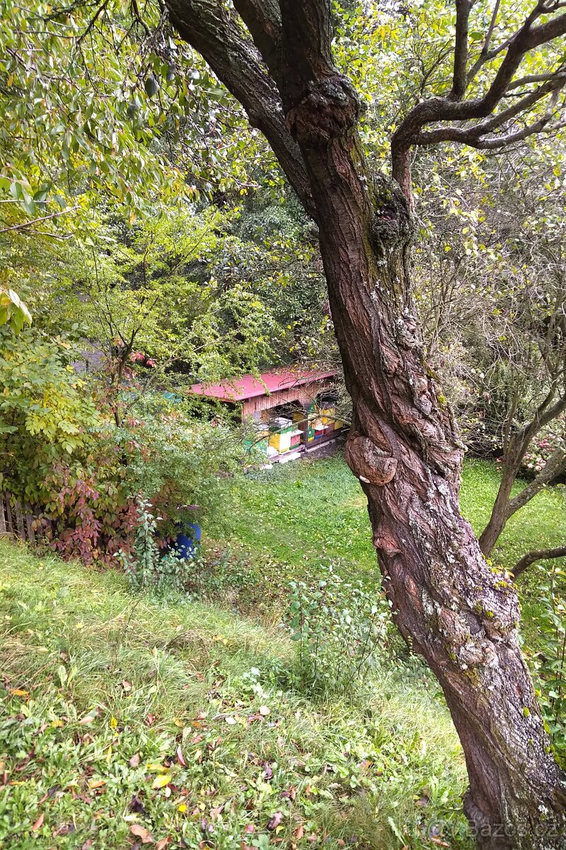 Rodinný dům Kostelec u Heřmanova Městce - 6