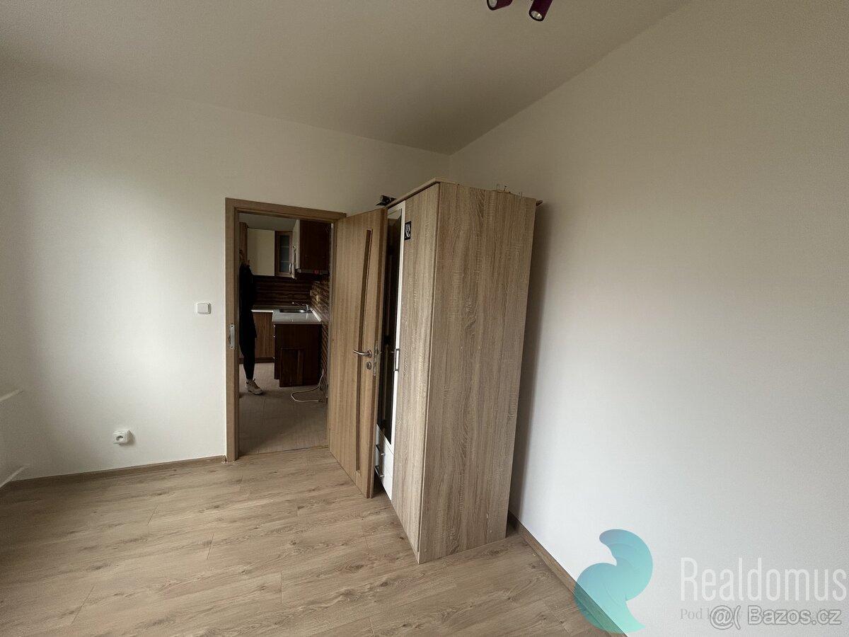 Pronájem bytu 3+1 v Borovanech - 6