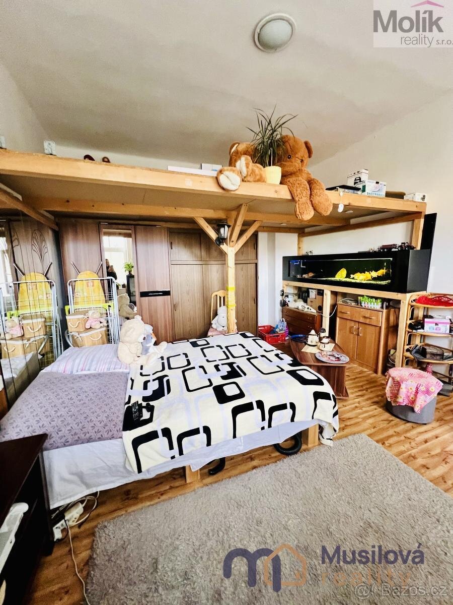 Prodej bytového domu 760 m2, pozemek 154 m2 - 6