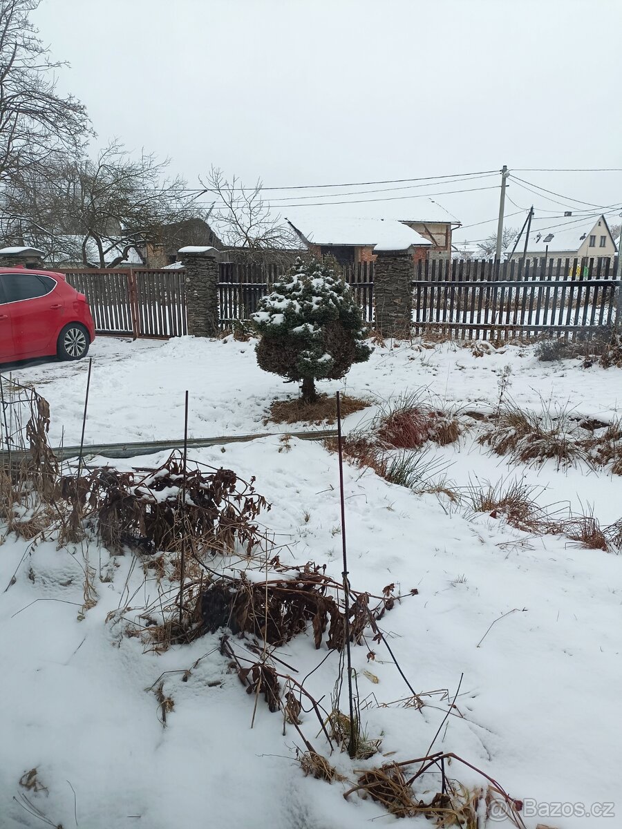 Prodej rodinného domu - 6