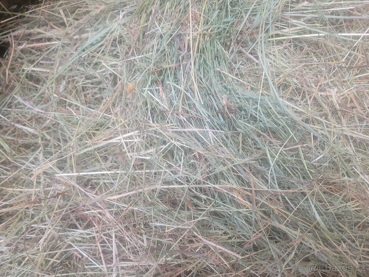 Seno kulaté balíky ze Šumavy - 6