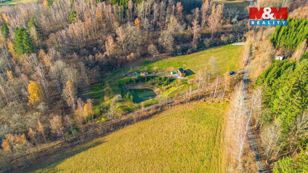 Prodej pozemku, 8197 m², Přídolí - 6