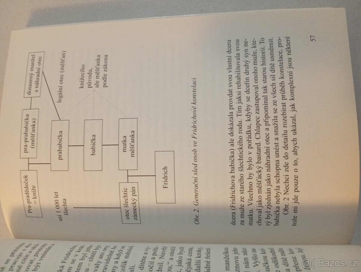Rodinné konstelace W.Nelles - 6