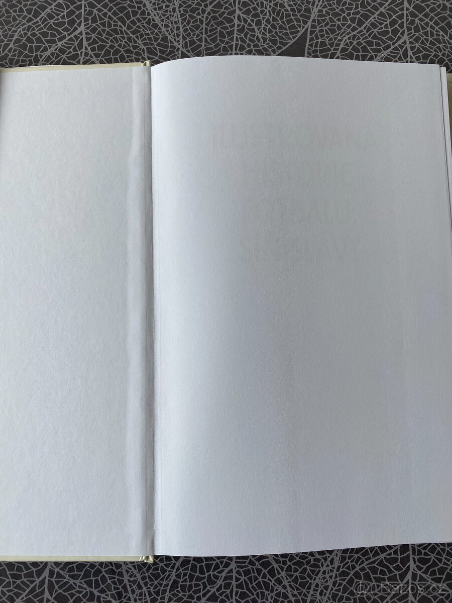 Nová kniha Ilustrovaná historie fotbalu: Síň slávy - 6