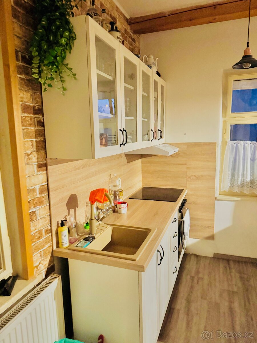 Pronájem domu - 6