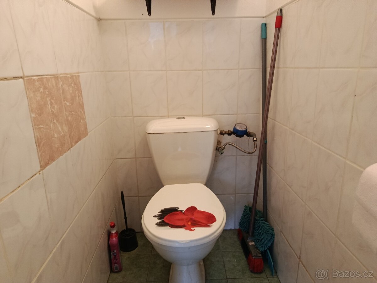pronájem bytu 3+1 - 6