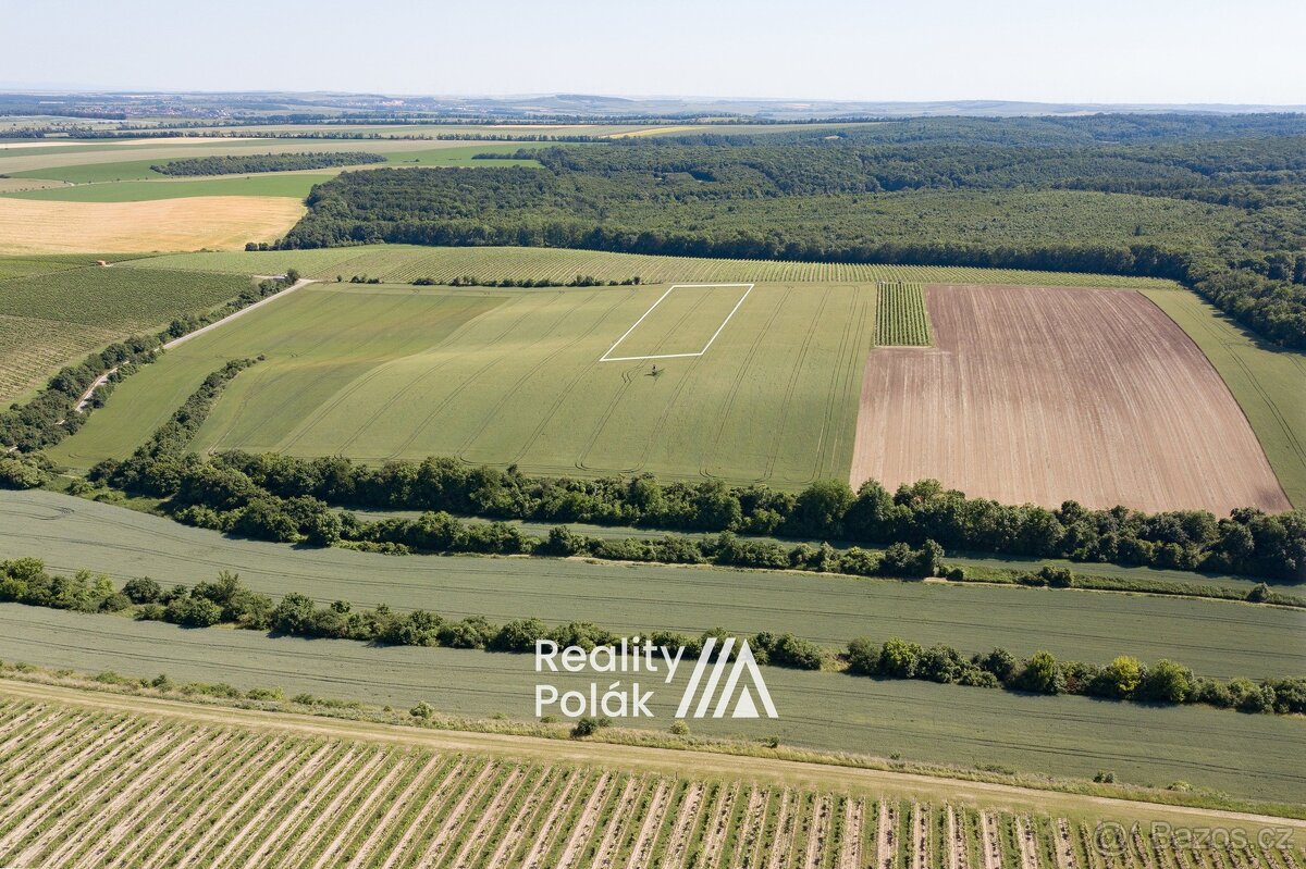 Prodej orná půda, 7380 m² - Bulhary, ev.č. 25PP103 - 6