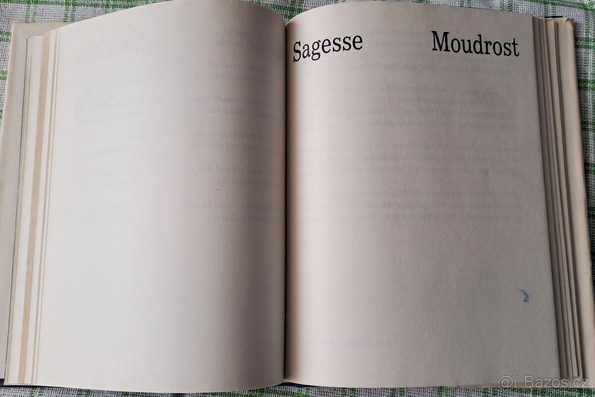 Kniha Záludná luna - P. Verlaine - 6