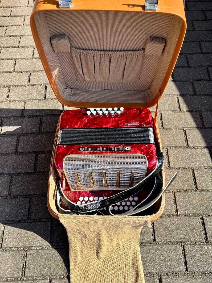 Heligonka Delicia Favorit II BEsAs - 6