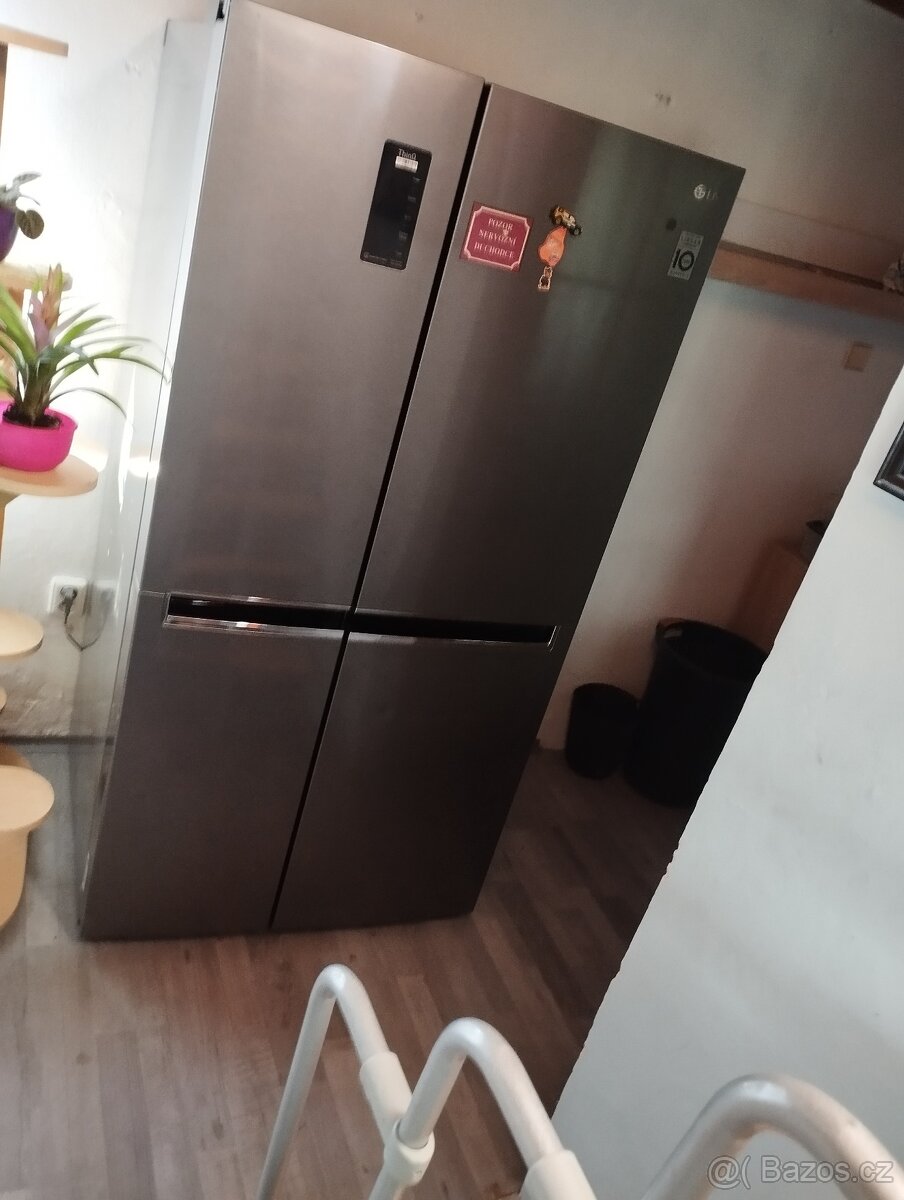 Lednice Amer.thino - 6