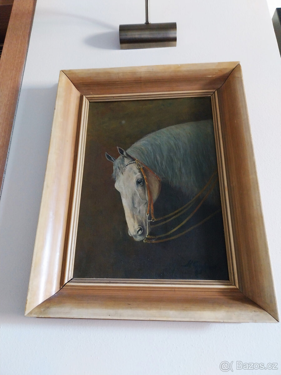 Olej na desce, hlava koně, 70tá léta - 6