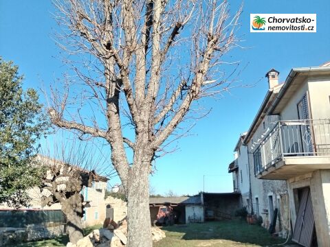 Prodej, dům, 2 000 m poz., , , Česko - 6