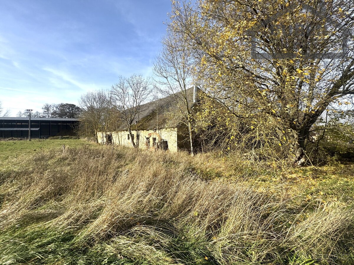 Stavební pozemek 10472 m² se zemědělskými budovami, Stráž - - 6