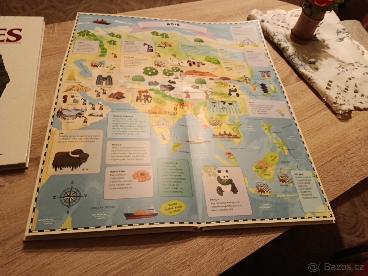 Dětské a knihy pro dospělé, Beatles , Karel Čapek - 6